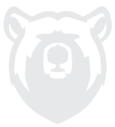 Bear Studio